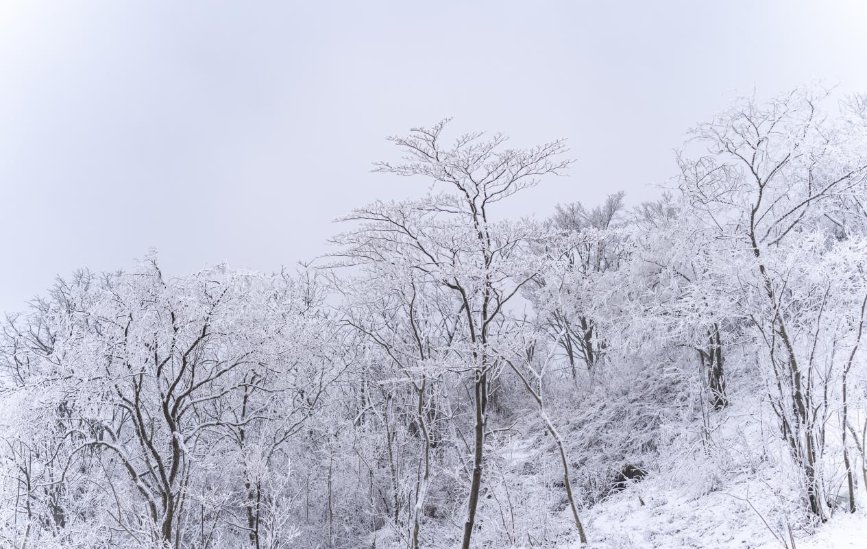 绵阳九皇山滑雪场开板迎客,游客尽享冰雪乐趣