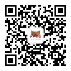 拉斯海马旅游业持续蓬勃发展,2025年上半年亮眼表现创下历史新高